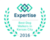 Expertise Best Dog Walkers